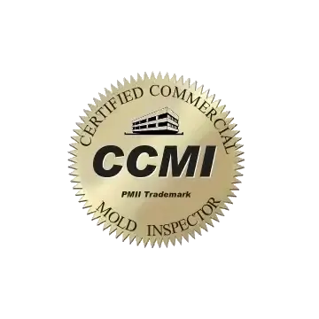 Mold-Inspector