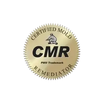 Mold-Remediator